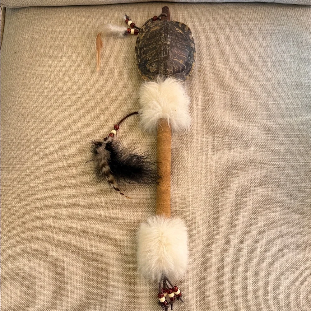 Natural Turtle Shell Reptile rattle
